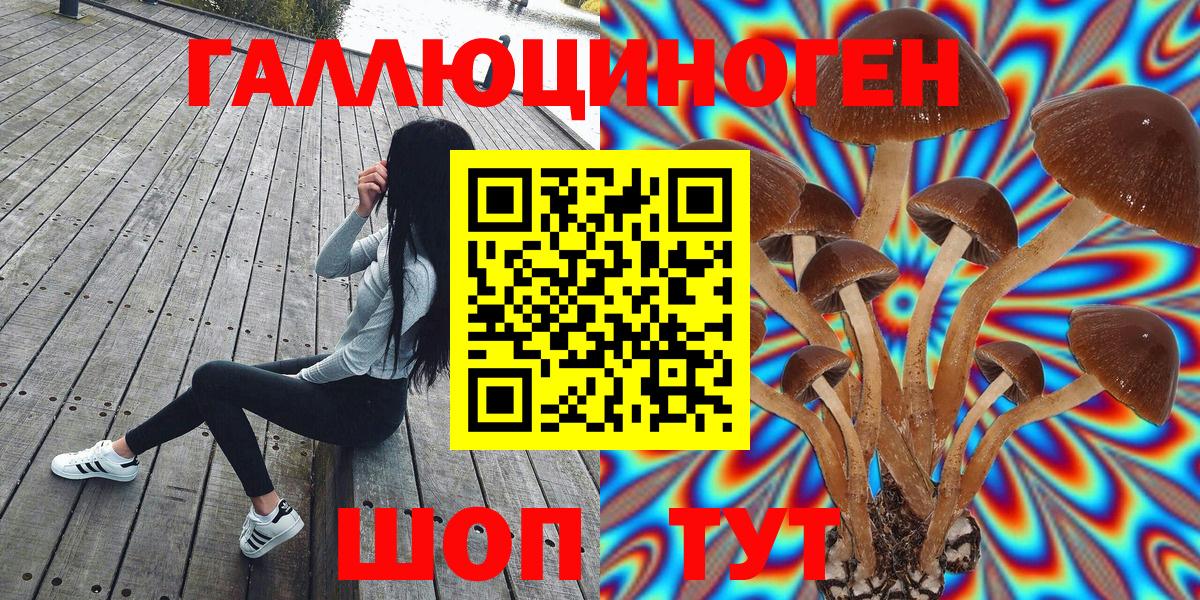 Галлюциногенные грибы мухоморы Североморск
